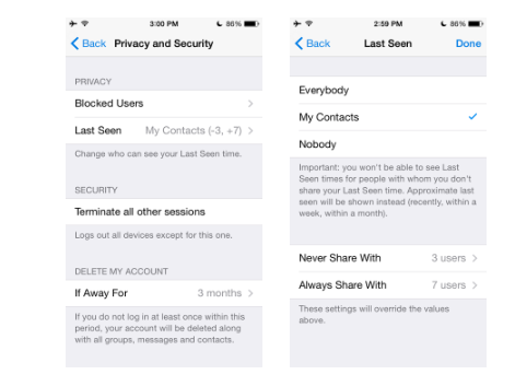Telegram正确隐藏最后上线时间(图1)