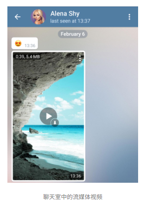 Telegram 安卓版4.8更新了流媒体播放和自动夜间模式功能!(图2) Telegram 安卓版4.8更新了流媒体播放和自动夜间模式功能!(图2)