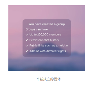 Telegram撤销清除历史记录和删除聊天记录的操作功能！(图3)