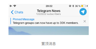 Telegram 4.5开始相册、已保存消息和更佳的搜索功能(图6) Telegram 4.5开始相册、已保存消息和更佳的搜索功能(图6)